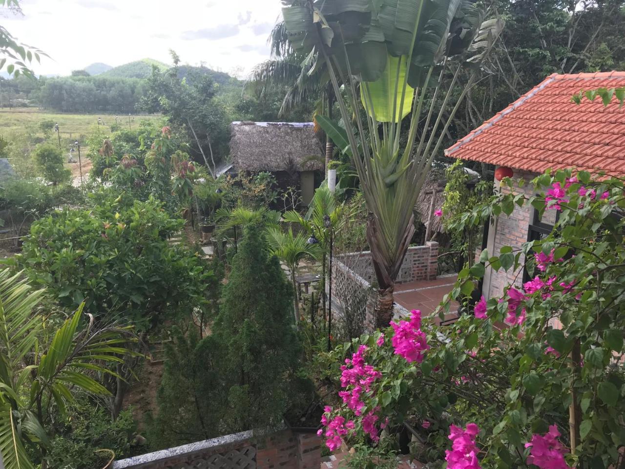 Vu Homestay Хюэ Экстерьер фото