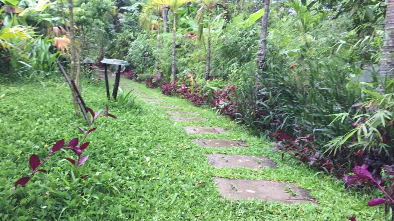 Vu Homestay Хюэ Экстерьер фото