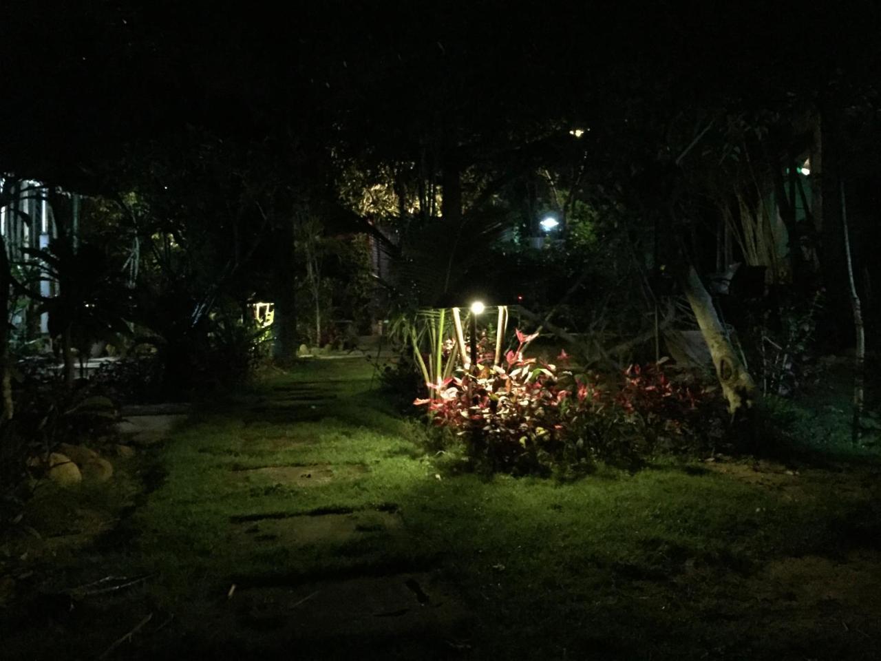 Vu Homestay Хюэ Экстерьер фото