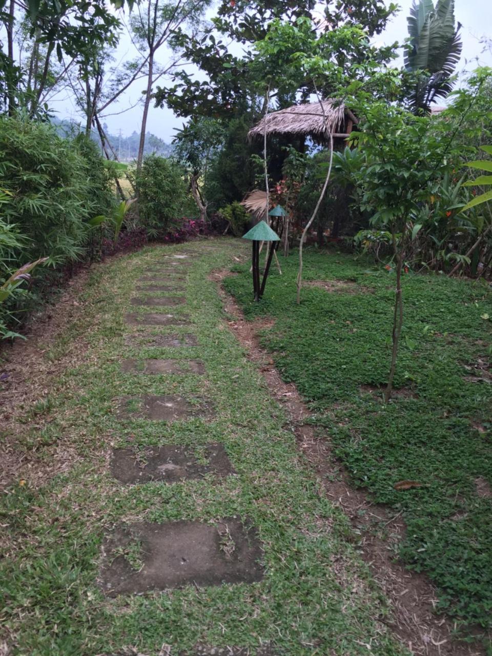 Vu Homestay Хюэ Экстерьер фото